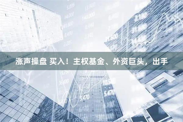 涨声操盘 买入！主权基金、外资巨头，出手