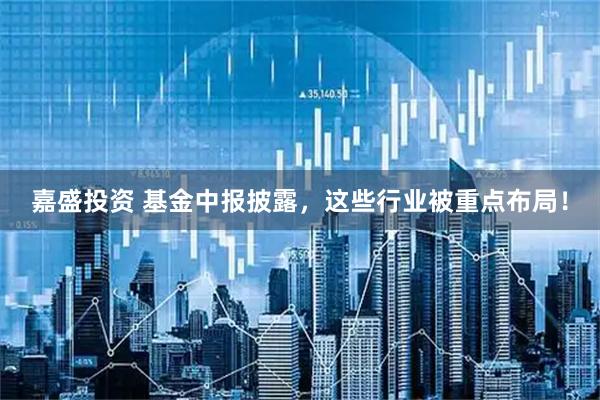 嘉盛投资 基金中报披露，这些行业被重点布局！