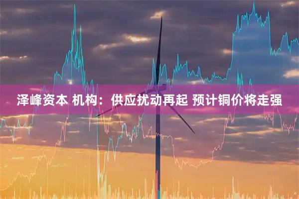 泽峰资本 机构：供应扰动再起 预计铜价将走强