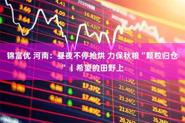锦富优 河南：昼夜不停抢烘 力保秋粮“颗粒归仓”丨希望的田野上