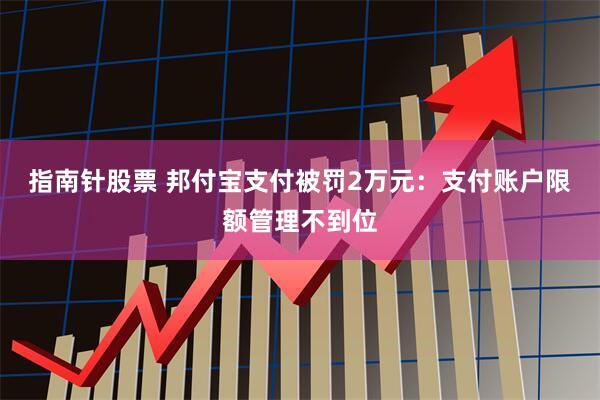 指南针股票 邦付宝支付被罚2万元：支付账户限额管理不到位