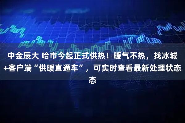 中金辰大 哈市今起正式供热！暖气不热，找冰城+客户端“供暖直通车”，可实时查看最新处理状态