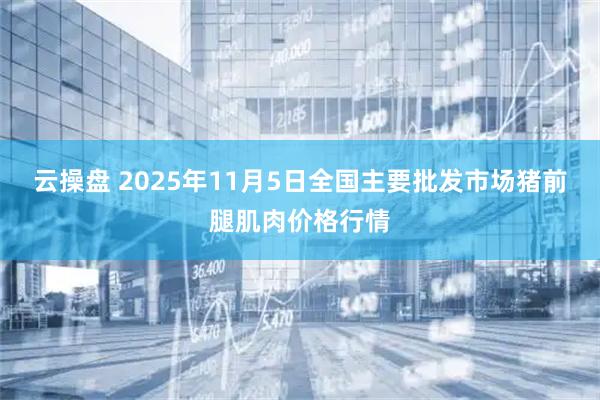 云操盘 2025年11月5日全国主要批发市场猪前腿肌肉价格行情