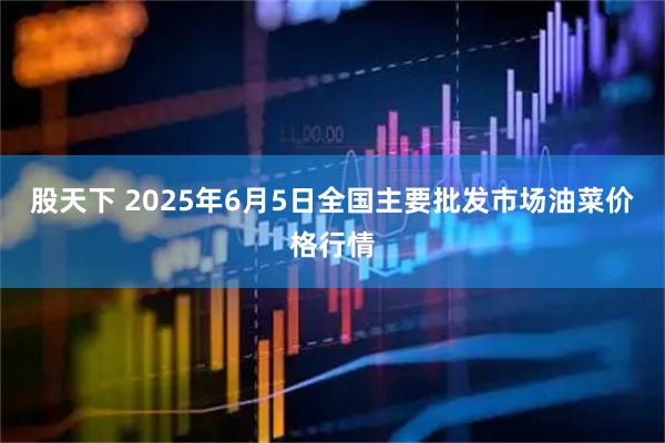 股天下 2025年6月5日全国主要批发市场油菜价格行情