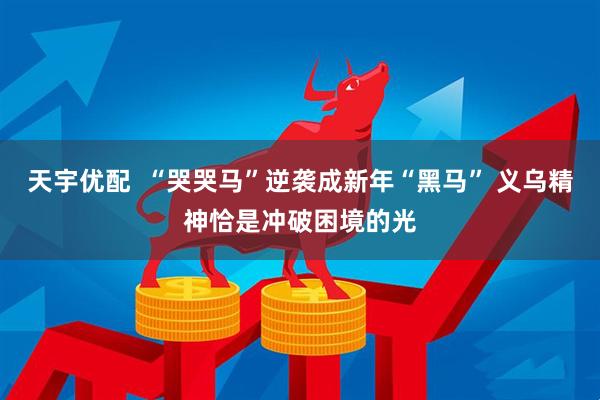 天宇优配  “哭哭马”逆袭成新年“黑马” 义乌精神恰是冲破困境的光