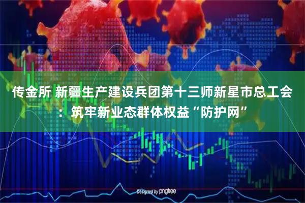 传金所 新疆生产建设兵团第十三师新星市总工会：筑牢新业态群体权益“防护网”