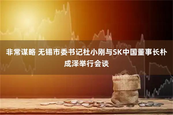 非常谋略 无锡市委书记杜小刚与SK中国董事长朴成泽举行会谈