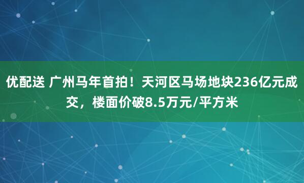 优配送 广州马年首拍！天河区马场地块236亿元成交，楼面价破8.5万元/平方米