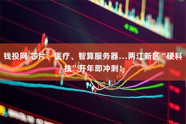 钱投网 芯片、医疗、智算服务器…两江新区“硬科技”开年即冲刺！